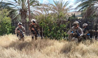Египет и Кипр провели совместные военные учения на Кипре